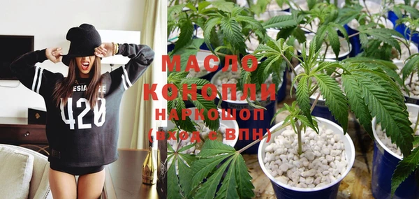 гашик Бородино