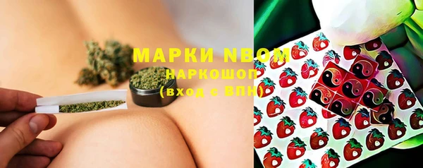 тгк Вяземский