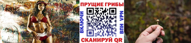 Псилоцибиновые грибы Psilocybe  Долинск 